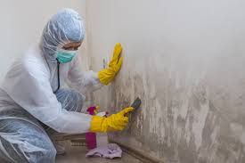 Mold Remediation for Rental Properties in Slocom, AL